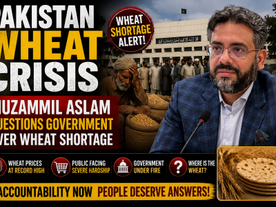 Pakistan Wheat Crisis: Muzammil Aslam Questions Government Over Wheat Shortage