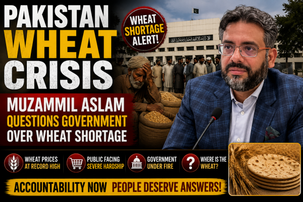 Pakistan Wheat Crisis: Muzammil Aslam Questions Government Over Wheat Shortage