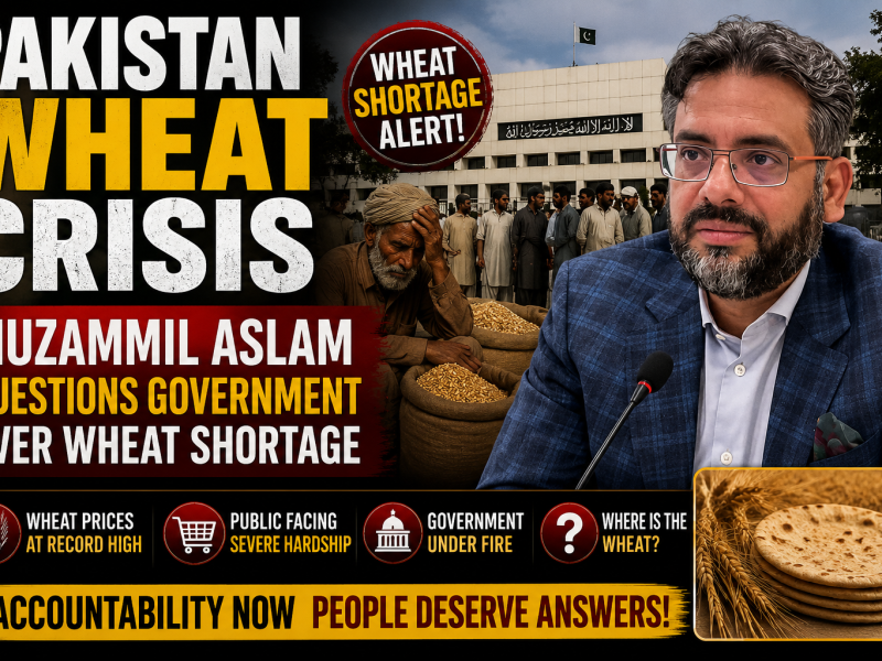 Pakistan Wheat Crisis: Muzammil Aslam Questions Government Over Wheat Shortage